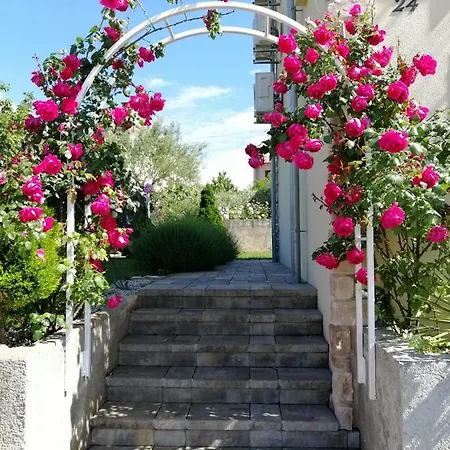 Guest house Olei 4*