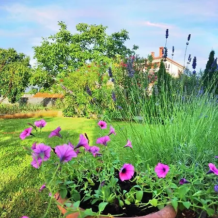 Guest house Olei