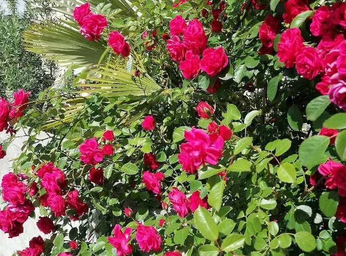 Pensiune Olei Malinska